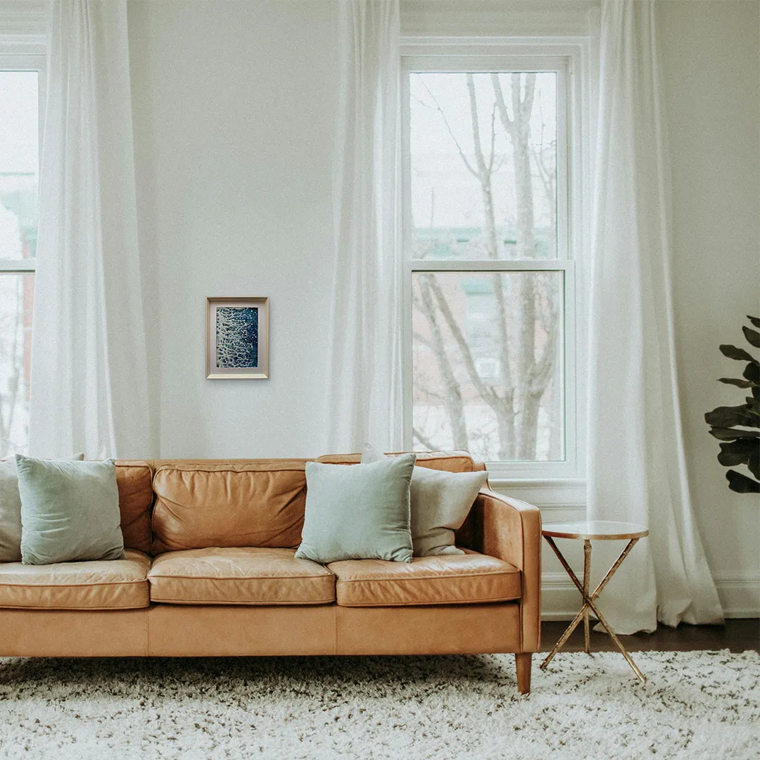 クリスマスを待つ樹