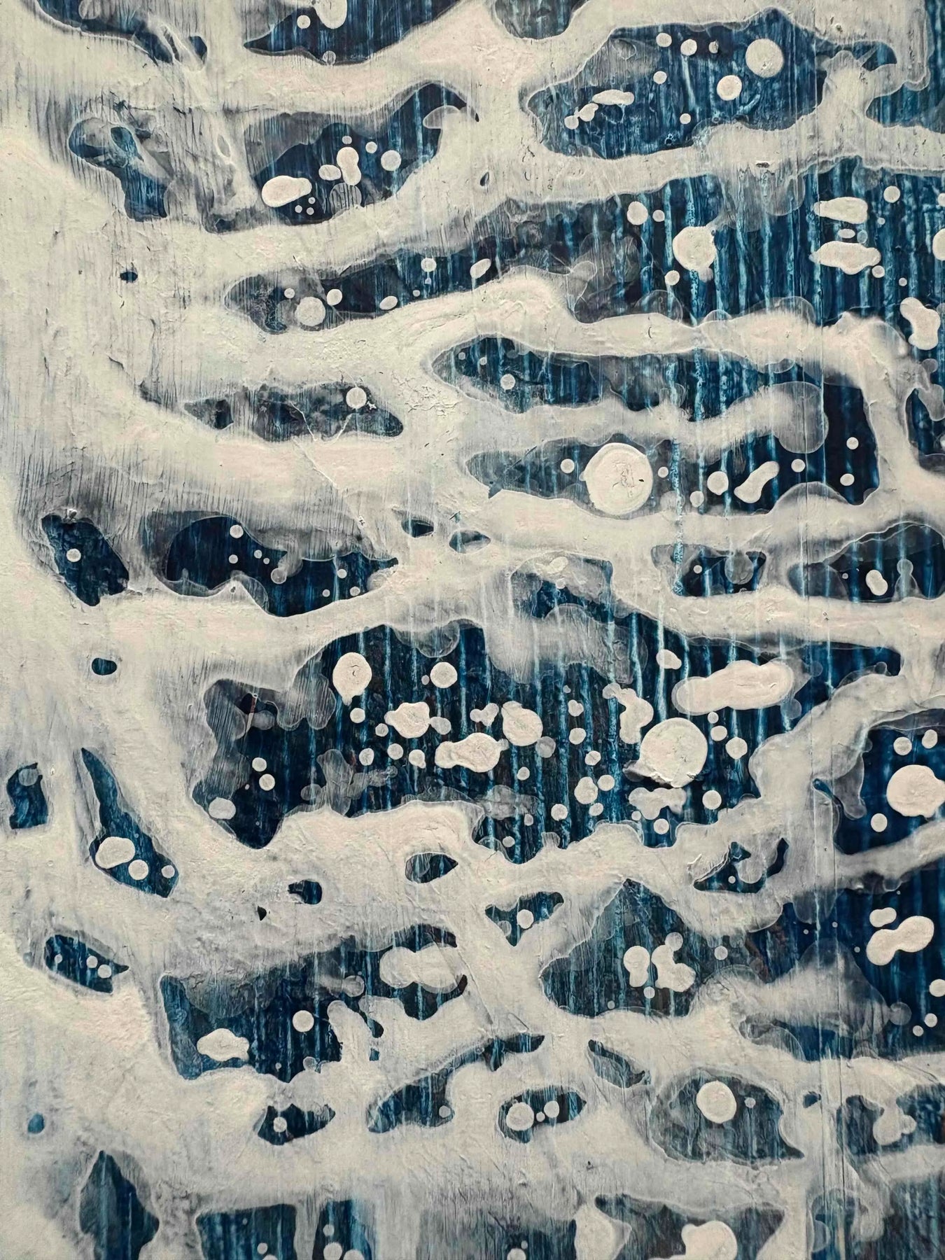 クリスマスを待つ樹